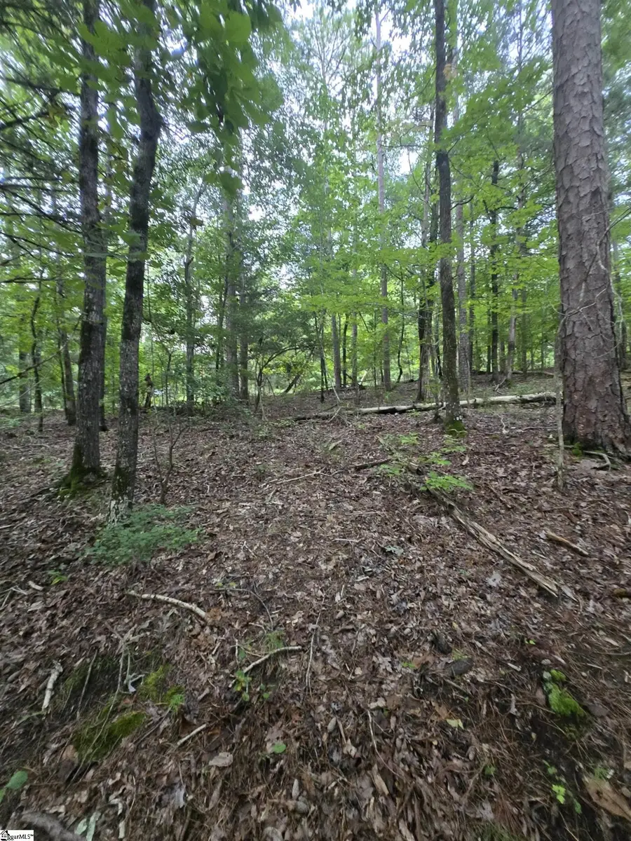 Dockside Drive #Lot 24A, Iva, SC 29655 - #2