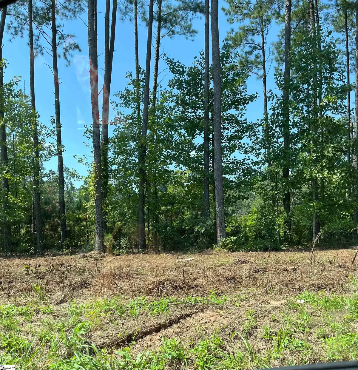 812 Kist Road, Greer, SC 29651 - #1