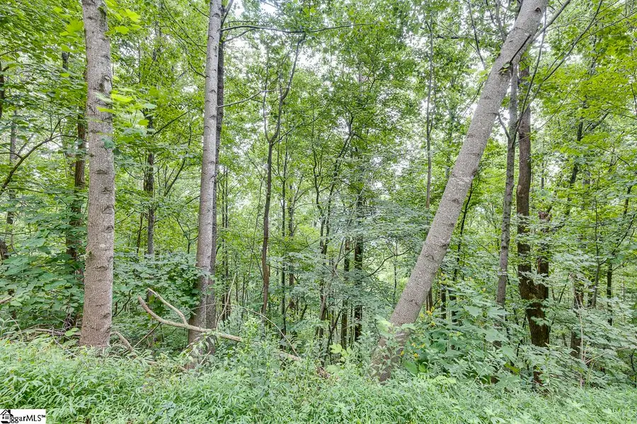 613 Western Way, Landrum, SC 29356 - #2