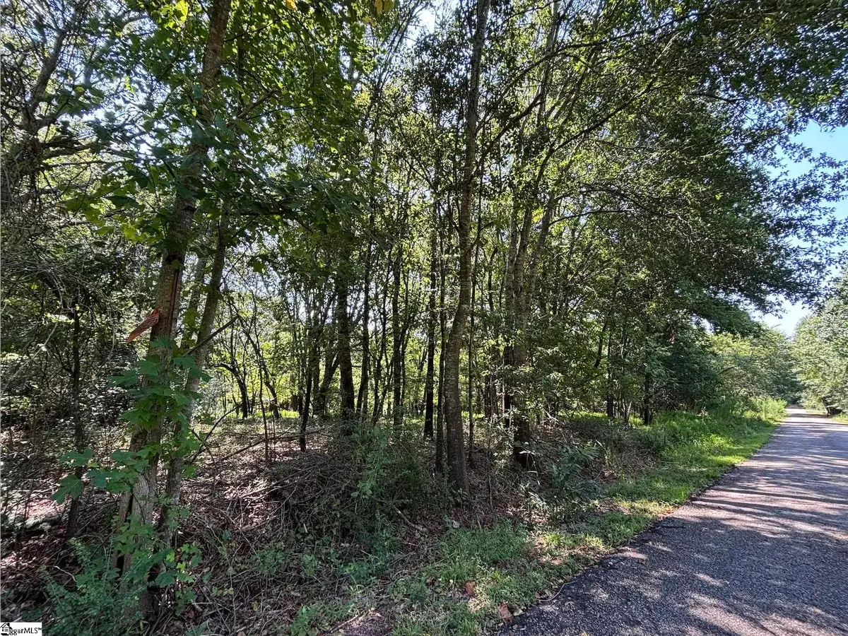 000 Wingo Road, Wellford, SC 29385 - #1