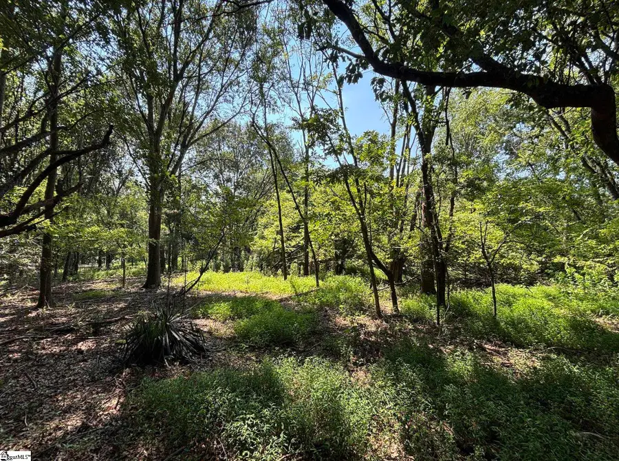 000 Wingo Road, Wellford, SC 29385 - #3