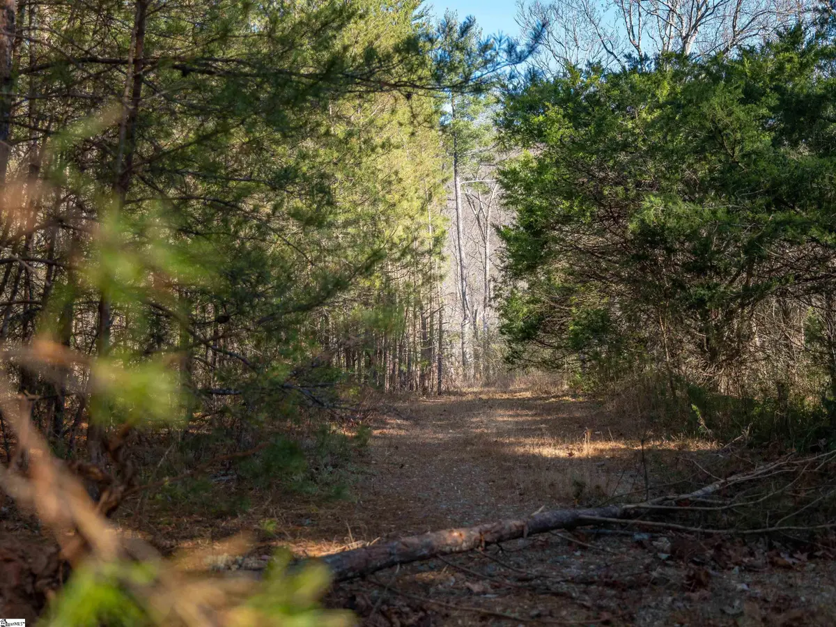 00 Pittman Road, Landrum, SC 29356 - #1