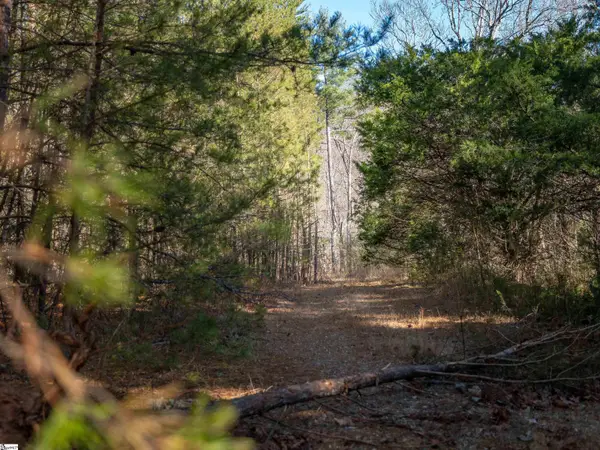 00 Pittman Road, Landrum, SC 29356