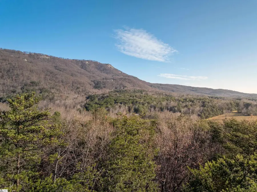 00 Pittman Road, Landrum, SC 29356 - #3
