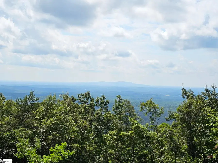 101 Southview Ledge Road, Landrum, SC 29356 - #2