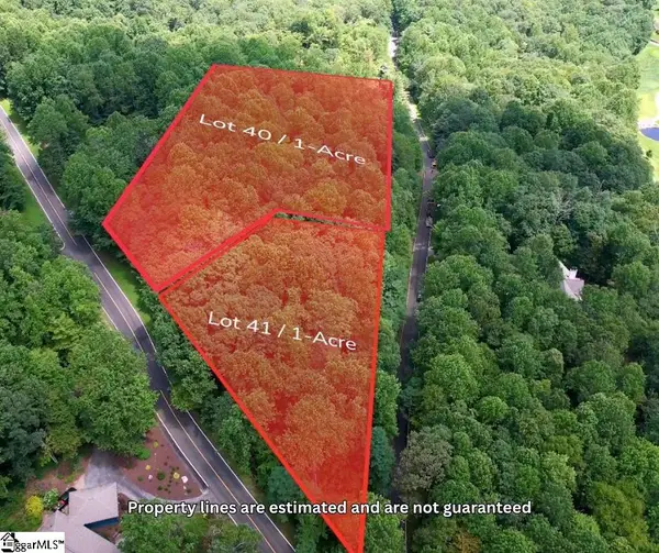 00 Snap Dragon Way #Lot 41, Landrum, SC 29356