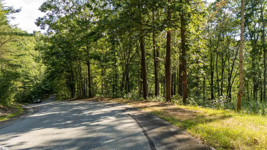 207 Luberon Lane, Travelers Rest, SC 29690 - #3