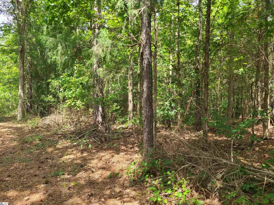 Deer Valley Road, Waterloo, SC 29384 - #3