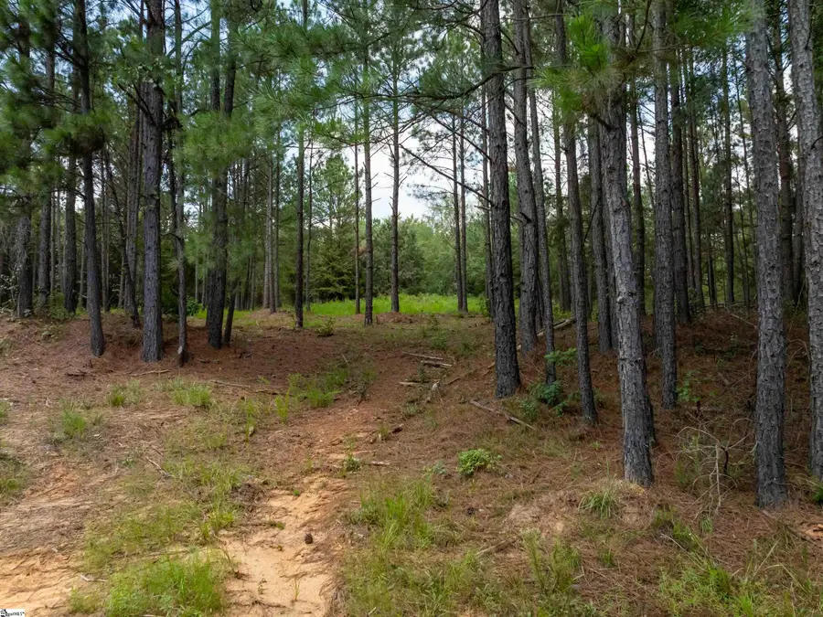 08 Neal Shoals Road, Union, SC 29379 - #3