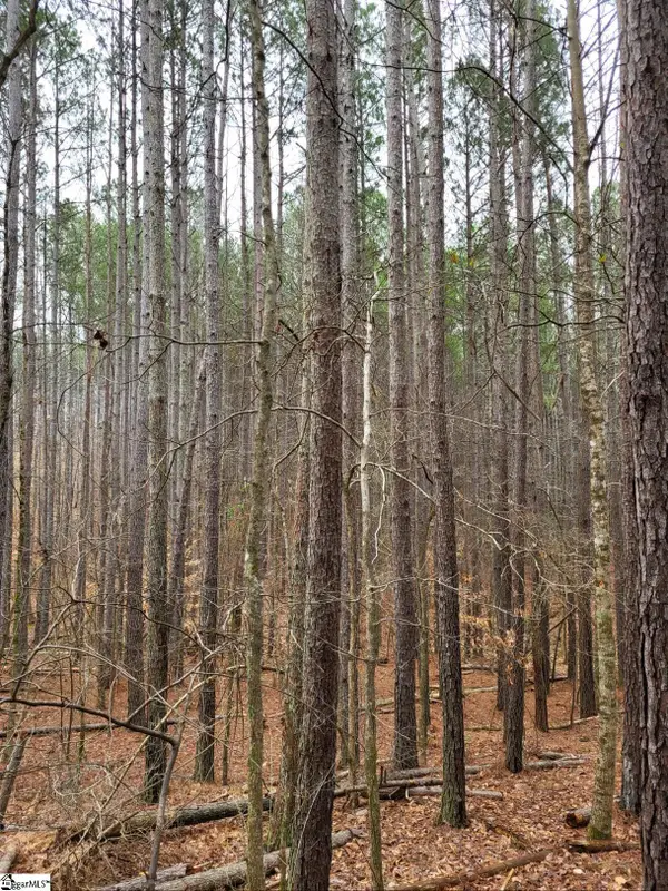 461 Cowford Bridge Road, Spartanburg, SC 29302