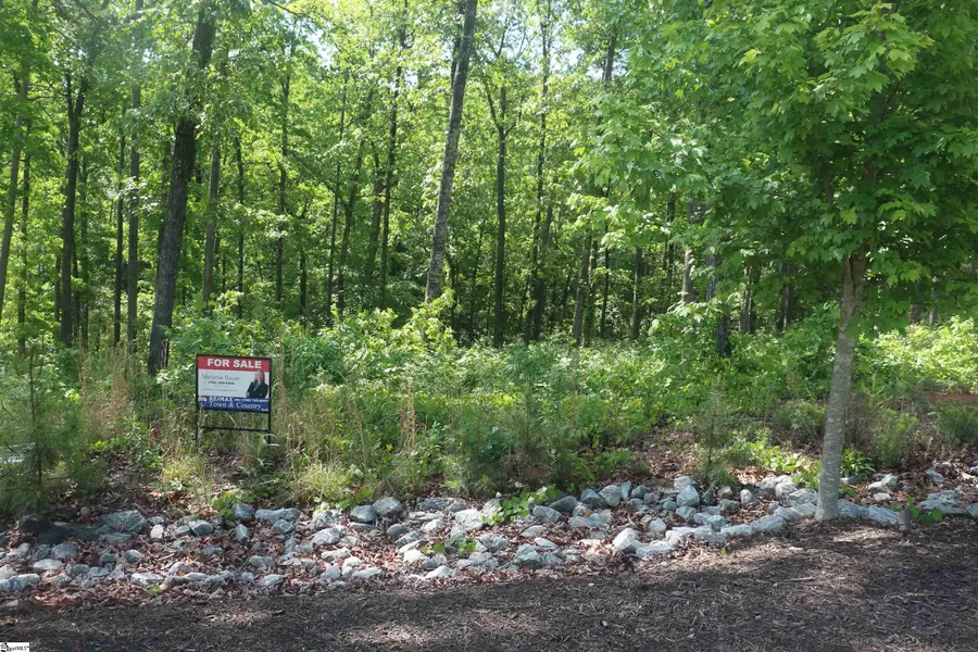 TBD Spring Hollow Drive, Seneca, SC 29672 - #2