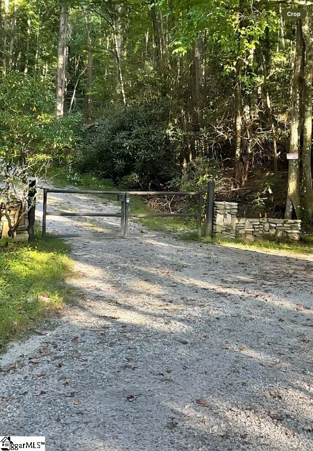 00 Mackerel Mountain Road, Green River, NC 28790 - #3