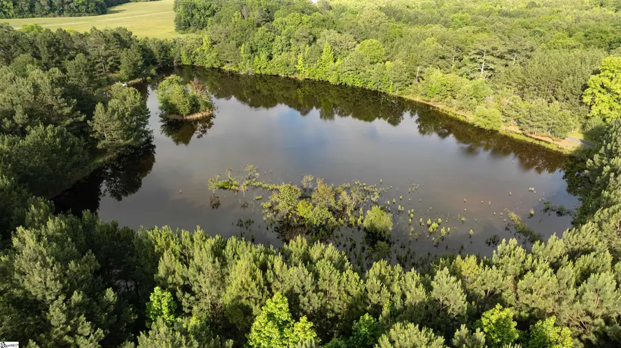 038 Crowder Road, Kinards, SC 29355 - #3