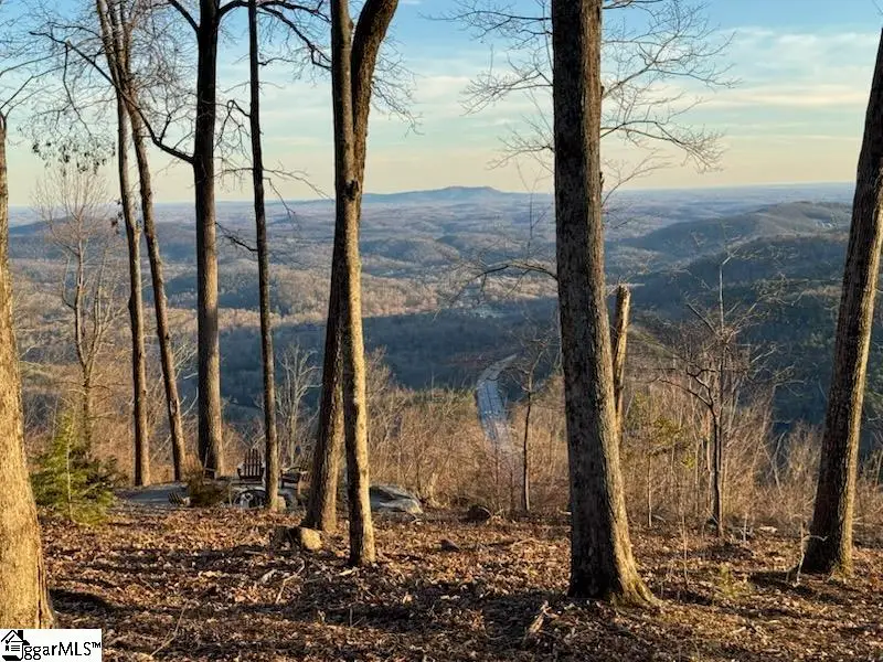 1534 Panther Park Trail, Travelers Rest, SC 29690 - #2