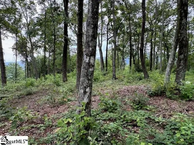 1534 Panther Park Trail, Travelers Rest, SC 29690 - #3