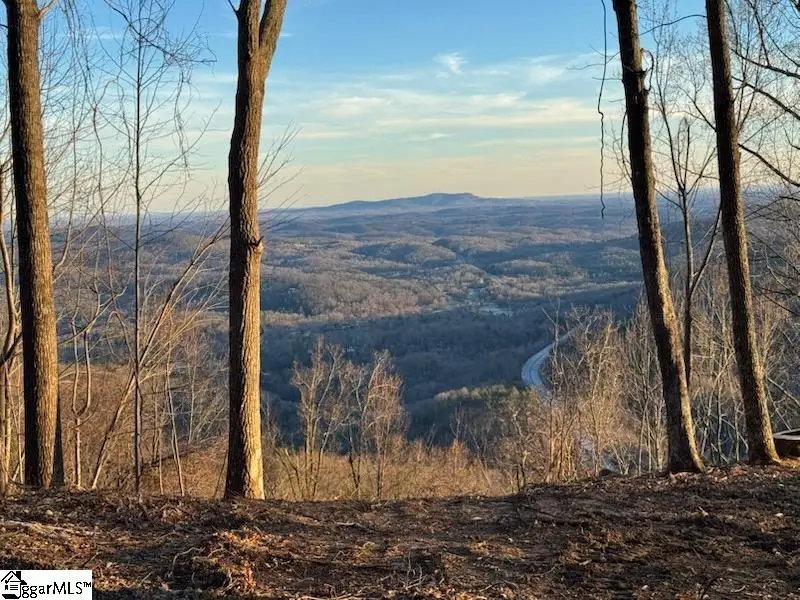 1531 Panther Park Trail, Travelers Rest, SC 29690 - #1