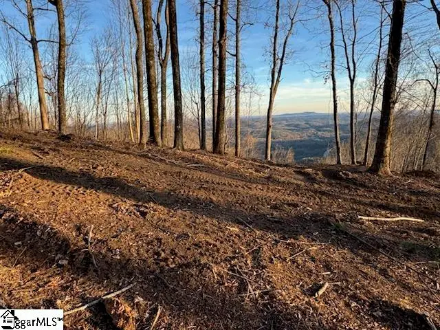 1531 Panther Park Trail, Travelers Rest, SC 29690 - #3