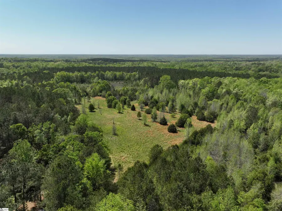 1 Potato House Road, Gray Court, SC 29645 - #2