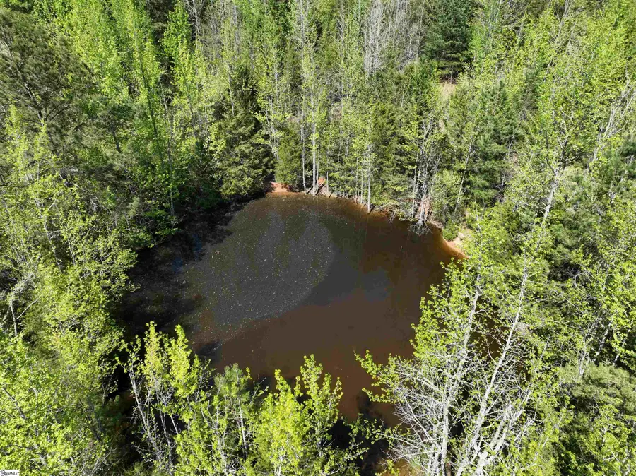 1 Potato House Road, Gray Court, SC 29645 - #3