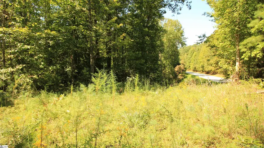 Cleo Chapman Highway #Lot 27, Sunset, SC 29685 - #2