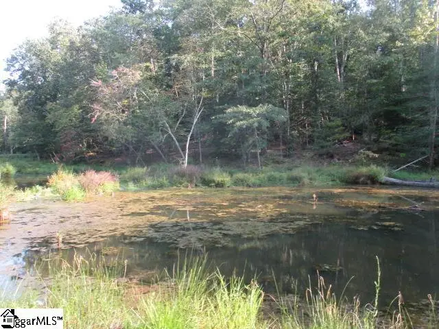 1905 Mckelvey Road, Fountain Inn, SC 29644 - #3