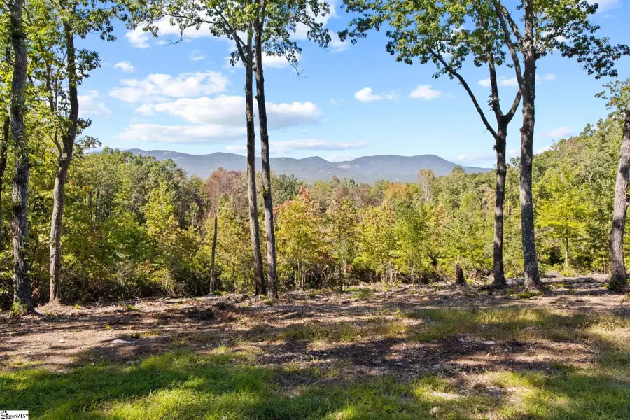 4518 Hawkins Road, Greer, SC 29651 - #3