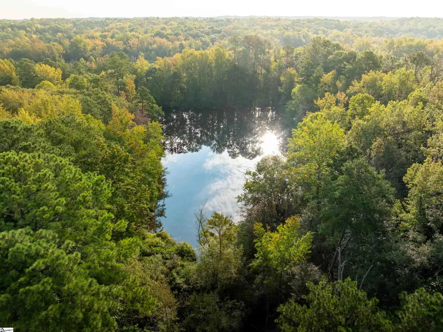 00 Nash Mill Road, Fountain Inn, SC 29644 - #2