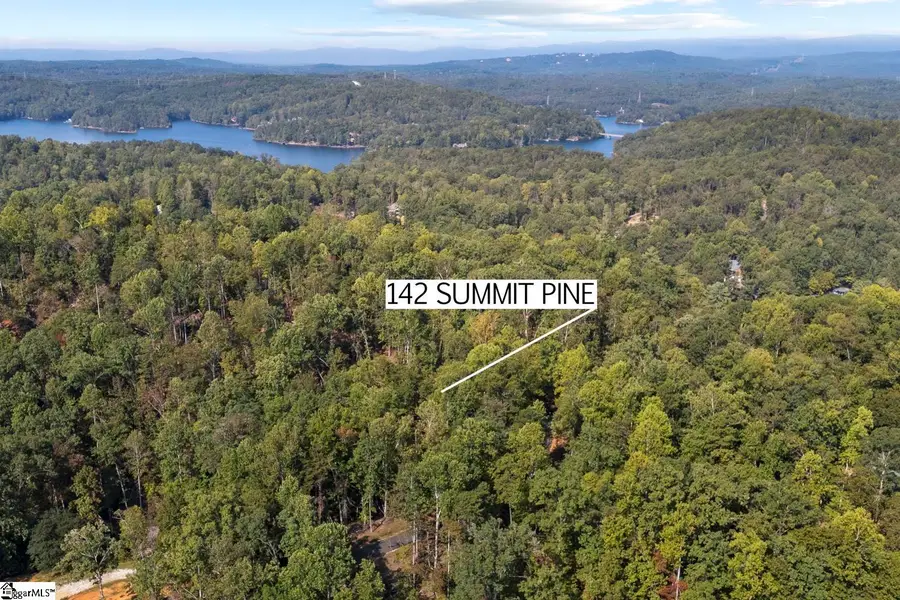 142 Summit Pine, Sunset, SC 29685 - #2