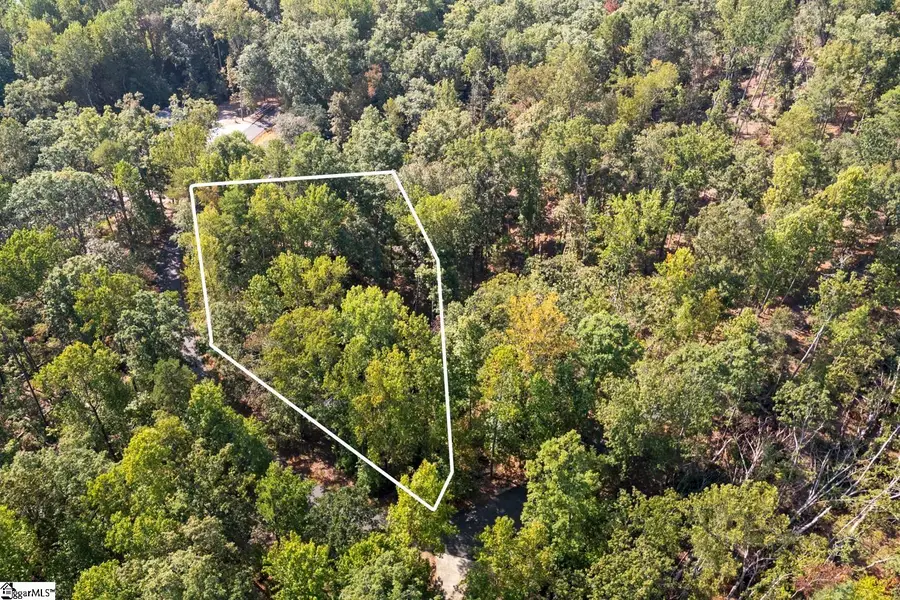 142 Summit Pine, Sunset, SC 29685 - #3