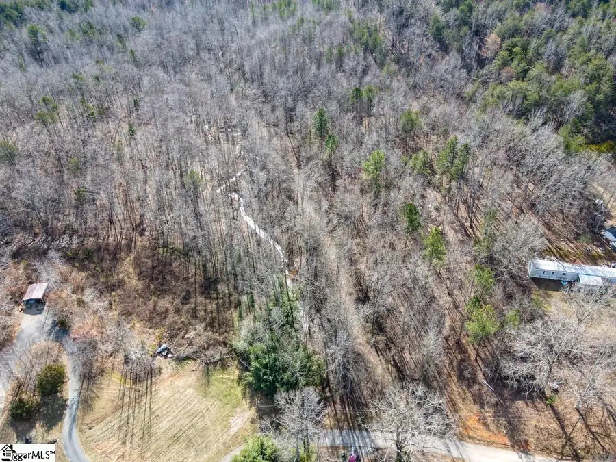 00 Woodside Lane, Campobello, SC 29322 - #2