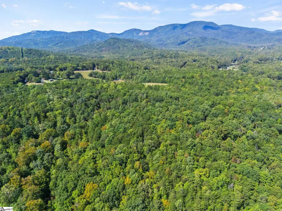 313 Arledge Road, Landrum, SC 29356 - #3