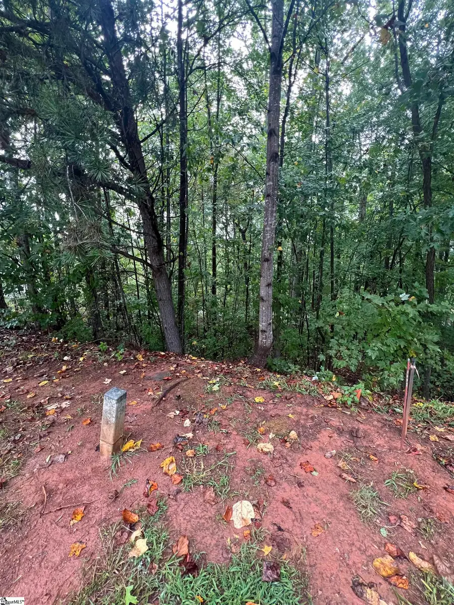 228 Laurel Valley Way, Travelers Rest, SC 29690 - #3