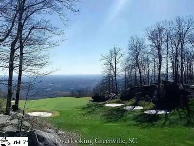 Glassy Ridge Road #Lot 11, Landrum, SC 29356 - #1