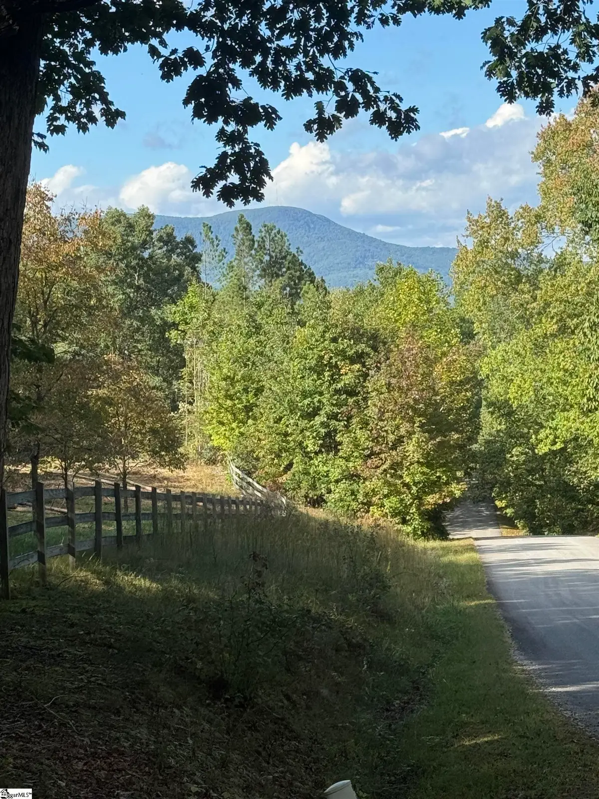 4502 Hawkins Road, Greer, SC 29651 - #1