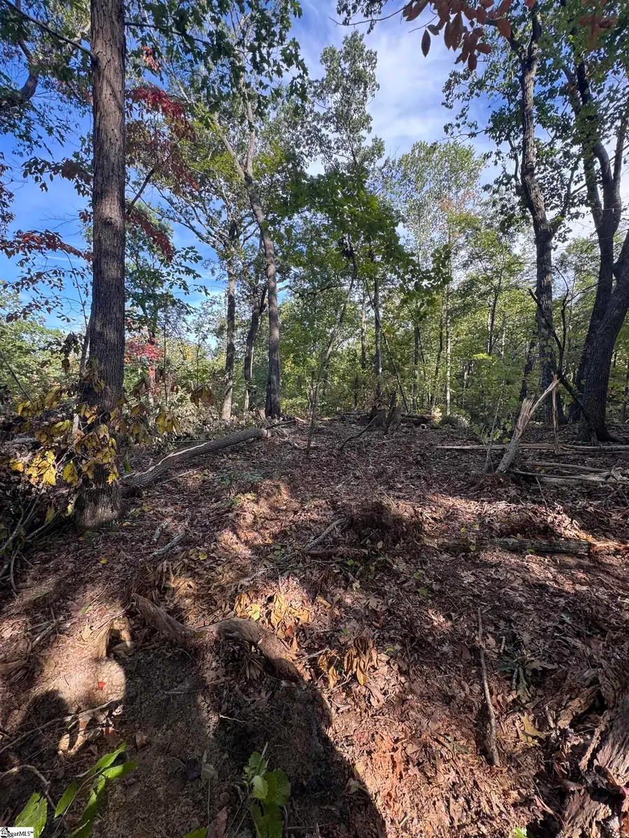 4502 Hawkins Road, Greer, SC 29651 - #2