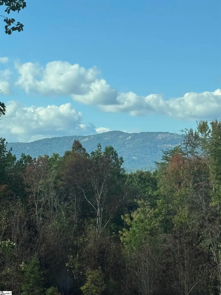 4502 Hawkins Road, Greer, SC 29651 - #3