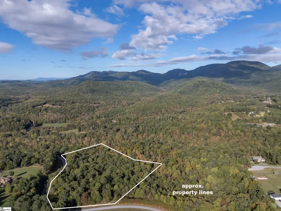 100 Pardo Road, Landrum, SC 29356 - #2