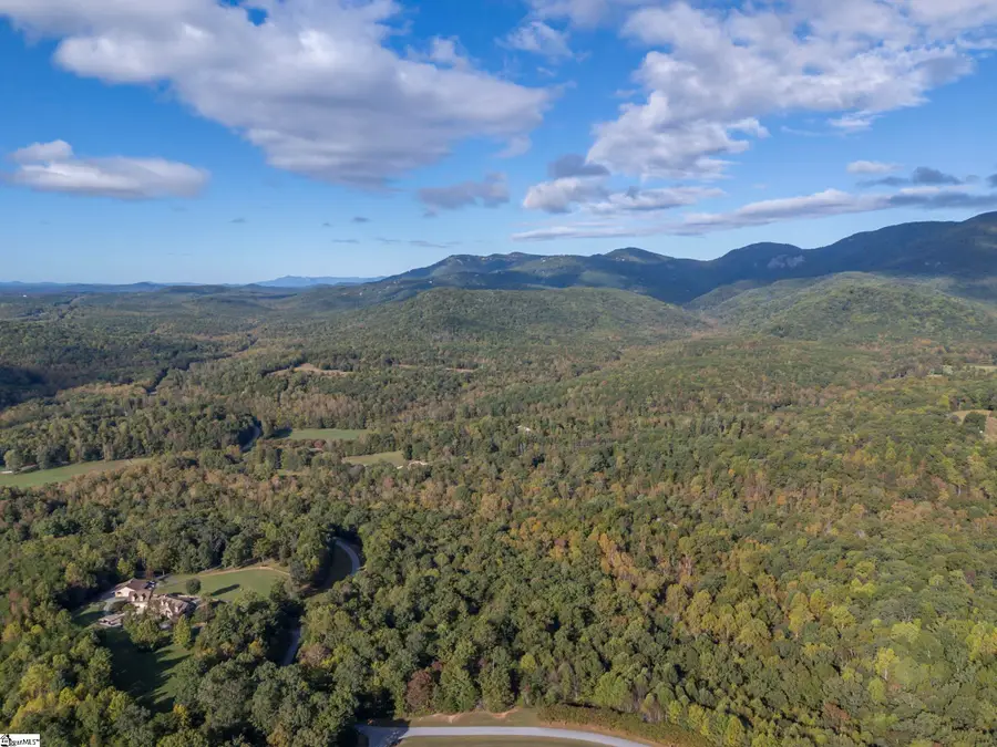 100 Pardo Road, Landrum, SC 29356 - #3
