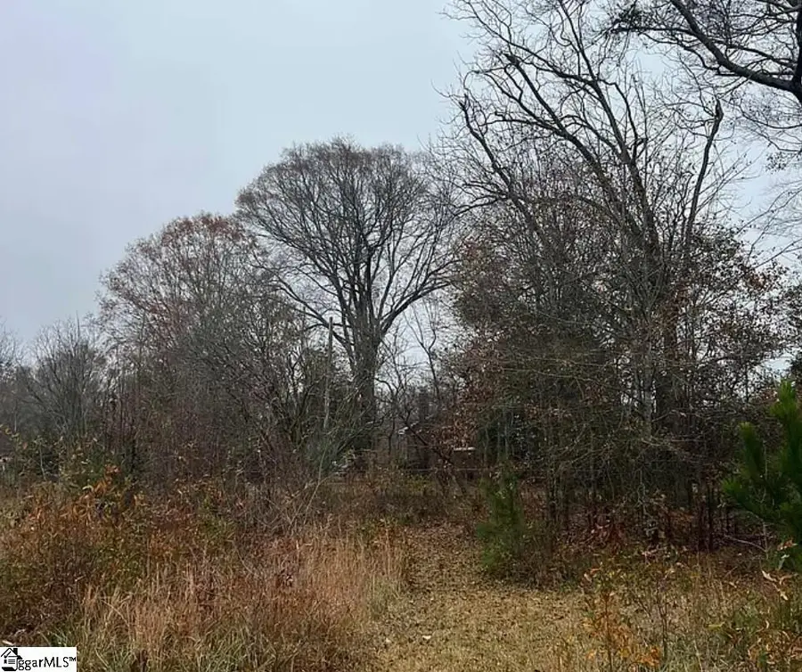 00 Blakely Avenue, Laurens, SC 29360 - #2