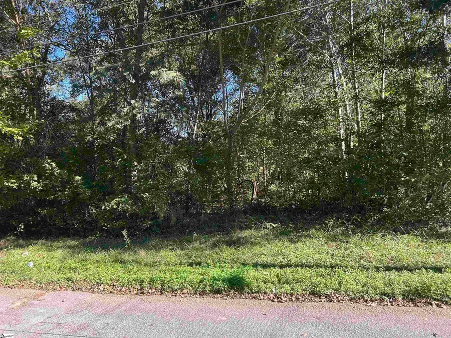 0 River Street, Laurens, SC 29360 - #2