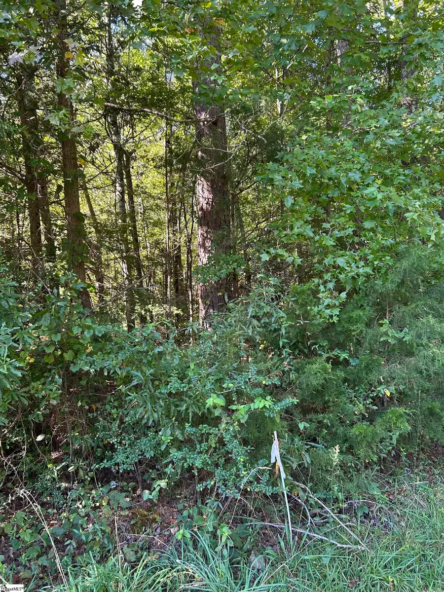 0 Sparkstown Drive, Enoree, SC 29335 - #3