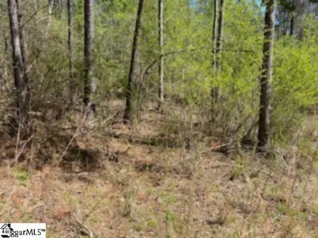 00 Eleanore Drive, West Union, SC 29696 - #2