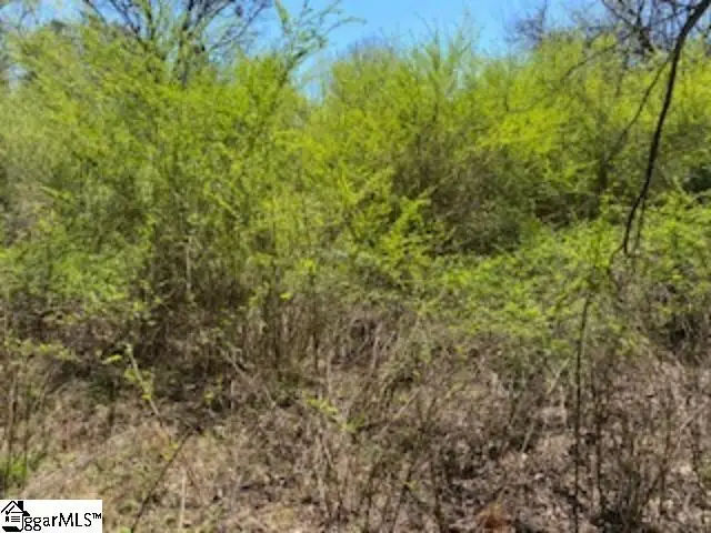 00 Eleanore Drive, West Union, SC 29696 - #3