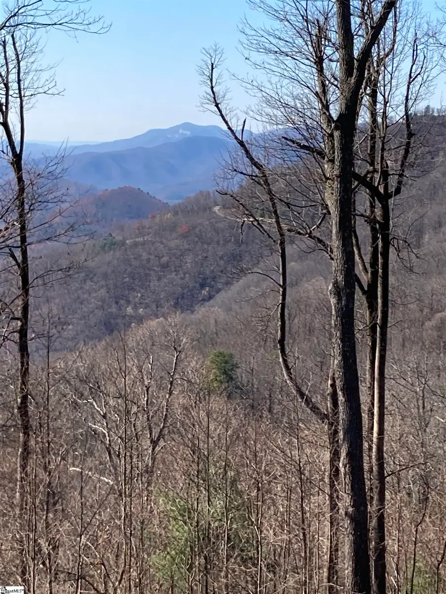 Hidden Rock Way, Zirconia, NC 28790 - #3