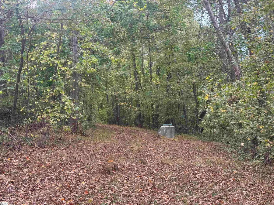 110 Holly Creek Drive, Greer, SC 29651 - #3