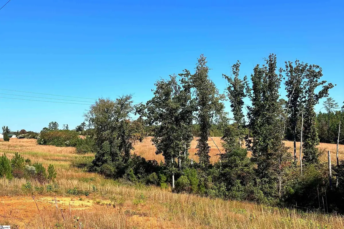 00 Riverfork Road, Waterloo, SC 29384 - #1