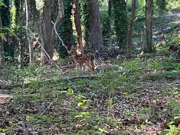 1 E Mcgee Street, Honea Path, SC 29654