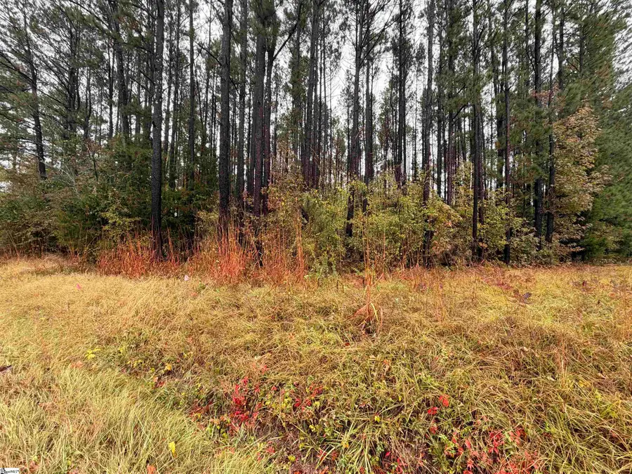 00 Beech Springs Road, Pelzer, SC 29669 - #2