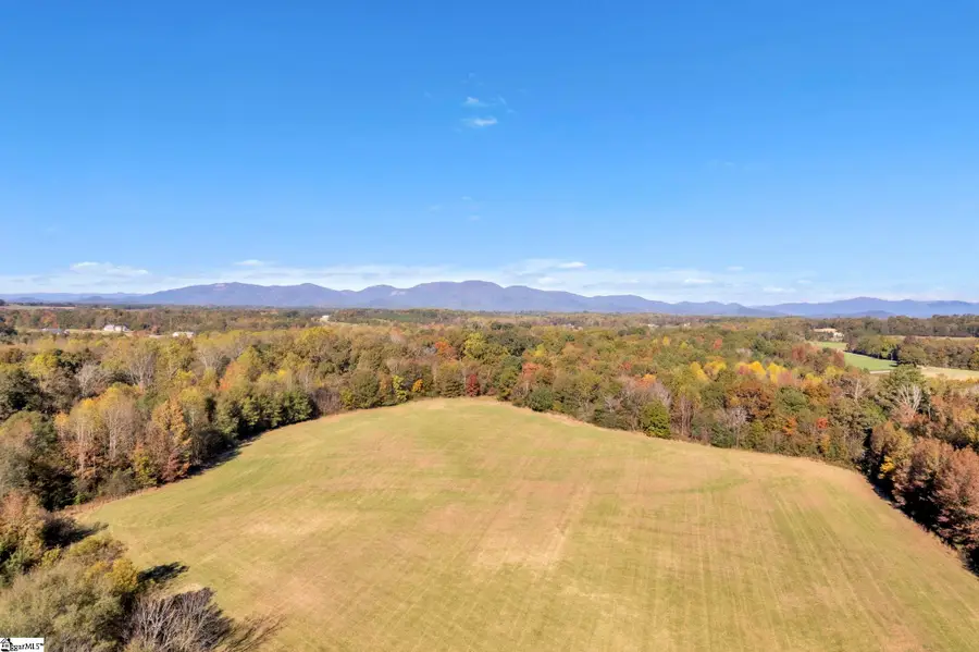 Motlow Creek Road, Campobello, SC 29322 - #2