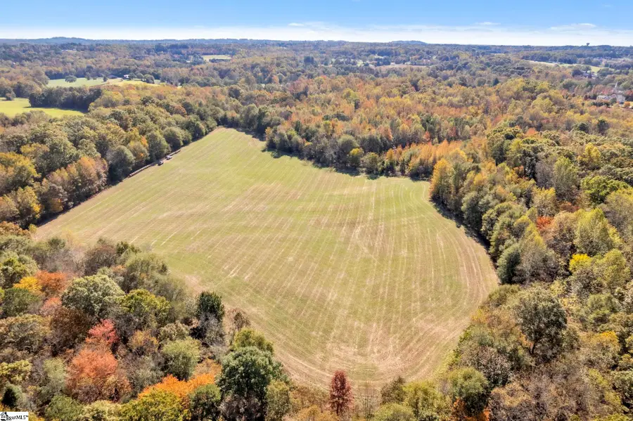 Motlow Creek Road, Campobello, SC 29322 - #3